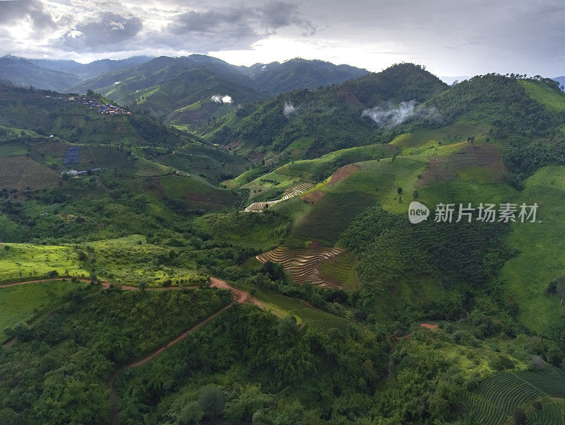 无人机拍摄(鸟瞰图)上午在泰国清莱的Doi Mae Salong茶园景观